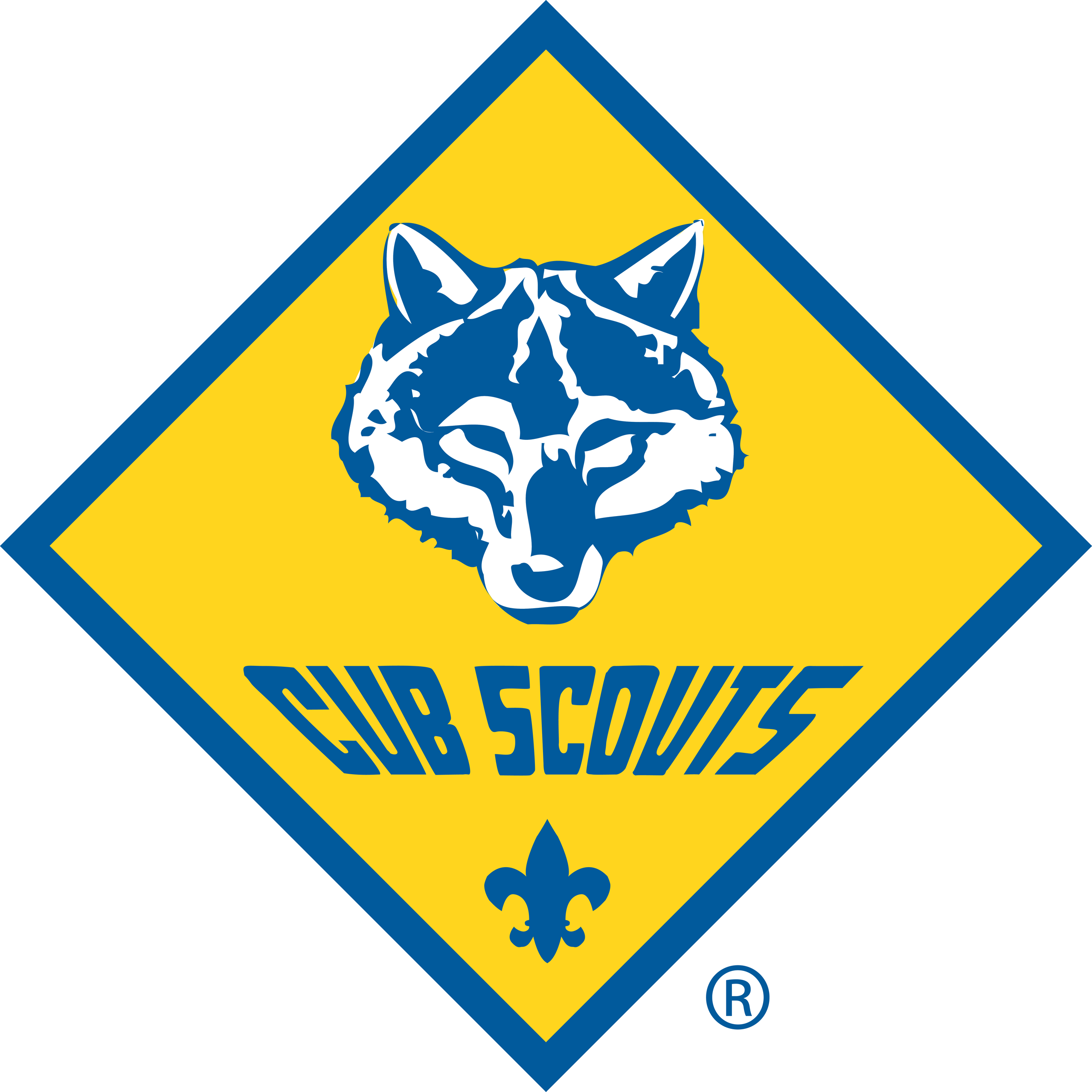 Pack 505 Logo